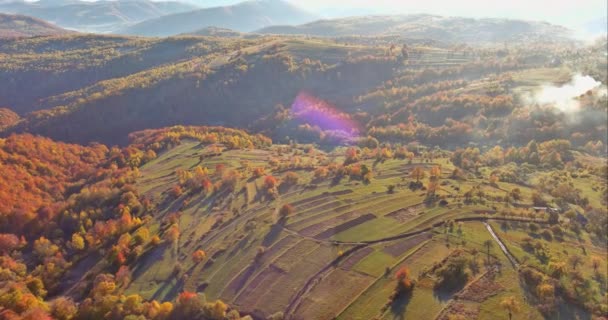 A view from a height of a yellow forest mountain valley surrounded by high mountains — Stockvideo
