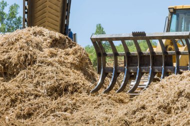 Dağlardaki odun kırma tesisi
