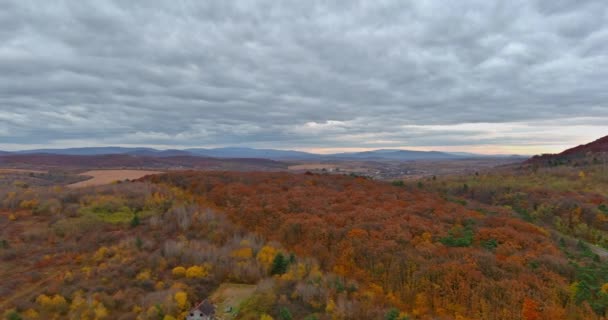 Picturesque autumn forest from the height of the mountains landscapes — Wideo stockowe