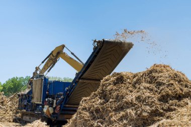 Crane hold roots wood to chipper shredder