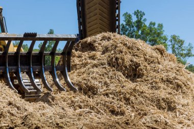 Dağlardaki ahşap işleme tesisi