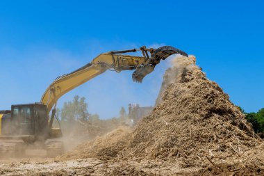 Wood chipper machine with mulch an work conveyor the roots shredding