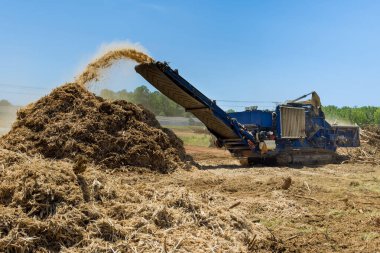 Kökler ağaç öğütücüyle ya da öğütücüyle dalları ezer.