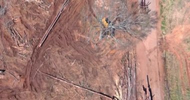 İnşaat için hazırlık sahasında ağaçlar ve çalılıklar temizlendi