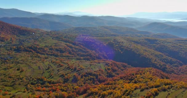 Floresta paisagem montanhosa caminhadas Cárpatos montanhas na manhã vista aérea cênica — Vídeo de Stock