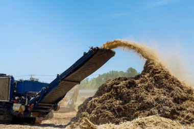 Endüstriyel parçalayıcı makinesi ağaç kırıntıları üretirken kökleri parçalayan bir taşıyıcı.
