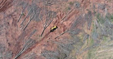 Cleared forest at the construction site of land clearing