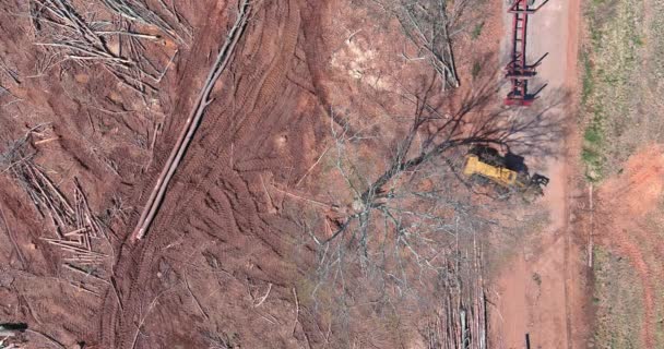 Aerial top widok pracy buldożer oczyszczania gruntów z drzew — Wideo stockowe