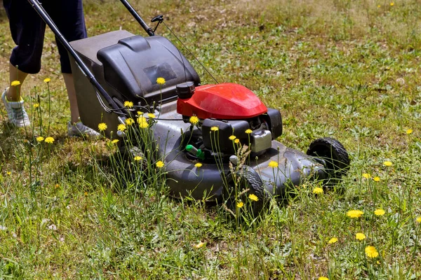Pemotong rumput tukang pemotong rumput memotong rumput — Stok Foto