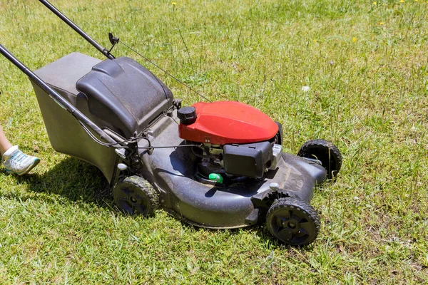 Evergreen landscaped garden with cut lawn using gasoline-powered self-propelled lawn mower Royalty Free Stock Images