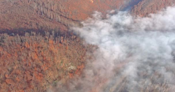 Piękna panorama jesiennych gór wznosi poranną mgłę w dolinie pomiędzy zboczami gór — Wideo stockowe