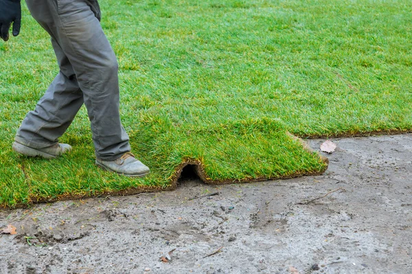 Robotnik zbiera rolki za instalację nowego trawnika — Zdjęcie stockowe