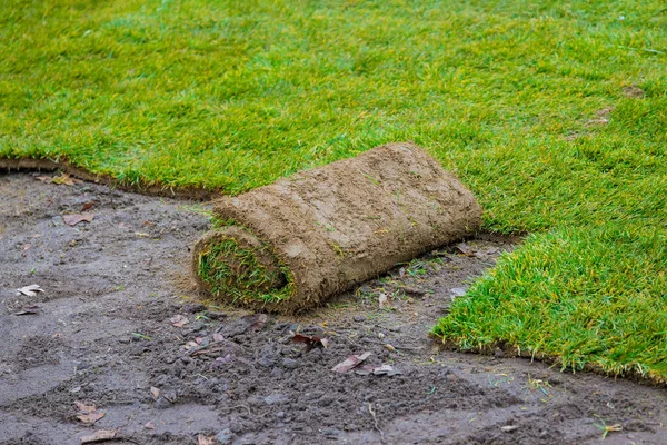 Rolled grass lawn closeup is ready for laying natural grass — Stock Photo, Image