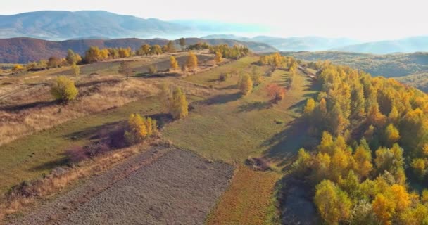 Bergpanorama der Wiesen im Herbst ein Ort der Natur im Gebirge — Stockvideo