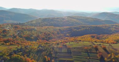 Büyüleyici sarı çayır manzara manzaralı bir dağ güzel bir doğa, ılık bir sonbahar sabahı