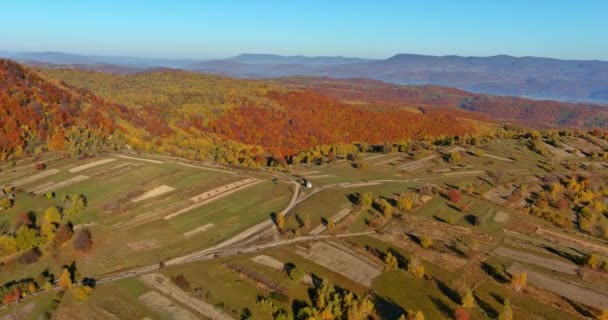 Vista panoramica sul prato giallo delle montagne della foresta la mattina vista panoramica aerea — Video Stock