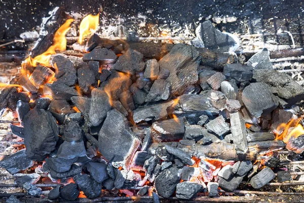 Vorbereitung Des Feuers Auf Die Kohlen Für Dönerspieße Beim Picknick — Stockfoto
