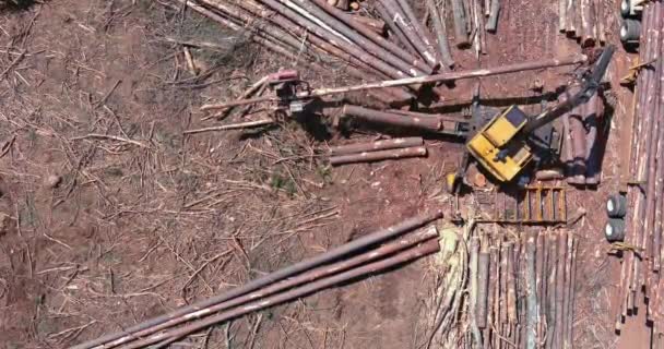 Aerial View Tree Removal Crane Operator Loading Logs Truck New — Video