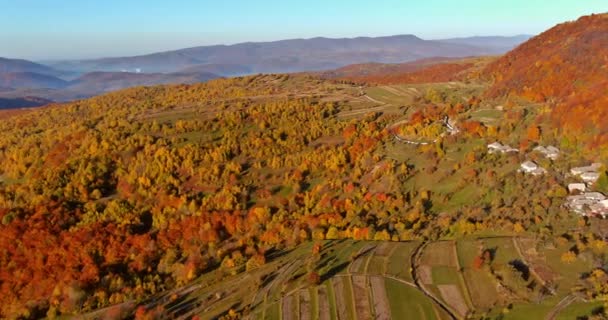 Beautiful Nature Warm Autumn Morning Fascinating Mountain Scenic Aerial View — Stockvideo