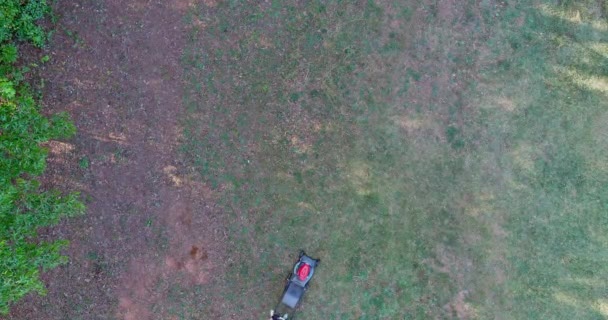 Luftaufnahme Einer Maschine Zum Rasenmähen Auf Grünem Gras Garten Mit — Stockvideo