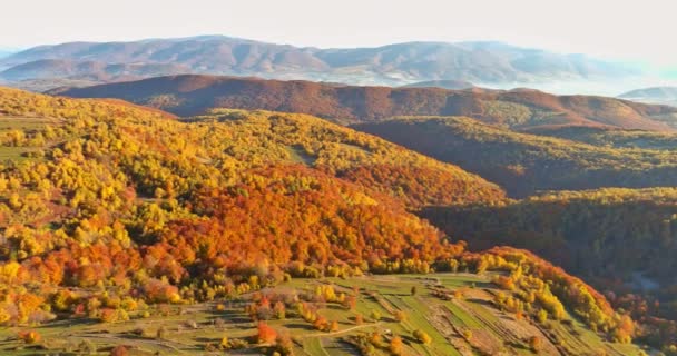 Aerial Panoramic View Height Yellow Forest Mountain Valley Surrounded High — Stockvideo