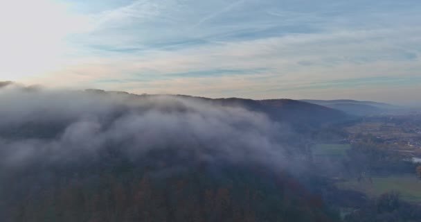 Bergwald Eine Luftaufnahme Malerische Landschaft Morgennebel Tiefes Waldtal — Stockvideo