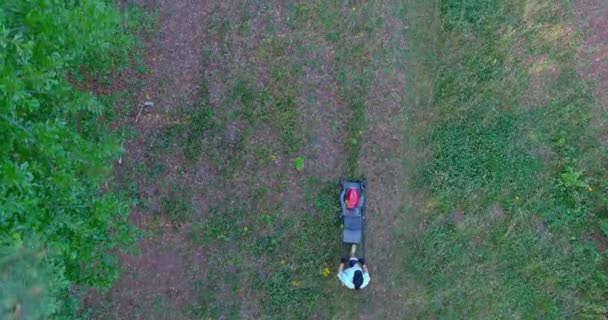 夏の日に緑の芝生の芝刈り機で長い草を刈る空中ビュー — ストック動画