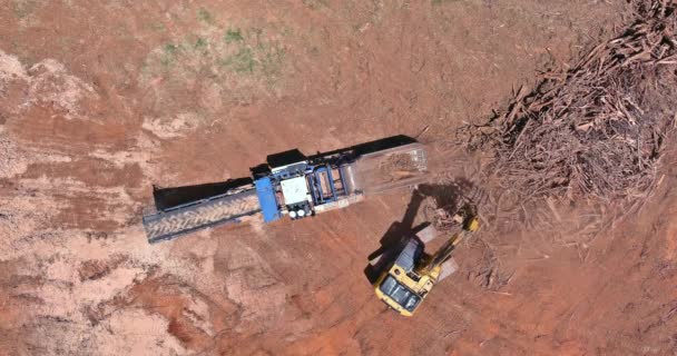 Wood Roots Crush Chipper Shredder Wood Chipper Machine Construction Site — Vídeo de stock