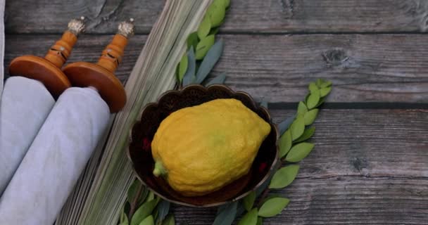 Ortodoxa Judaica Festival Símbolos Tradicionais Sukkot Quatro Espécies Etrog Lulav — Vídeo de Stock