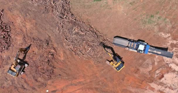 Sitio Construcción Trituradora Madera Industrial Estacionaria Los Árboles Raíces Corta — Vídeos de Stock