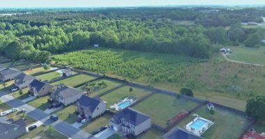 Panorama manzarası yükseklikten Amerika 'nın küçük bir kasabasının çatıları ormanın yakınındaki kırsal kesimden.