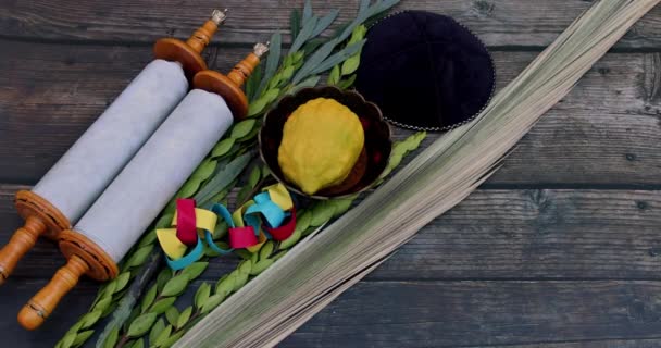 Decorações Celebração Feriado Judaica Sukkot Com Quatro Espécies Etrog Lulav — Vídeo de Stock