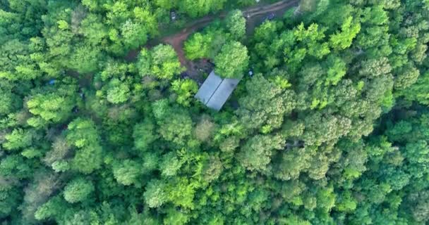 Malowniczy Sezonowy Krajobraz Lasu Góry Widok Lotu Ptaka Pobliżu Wrzącej — Wideo stockowe
