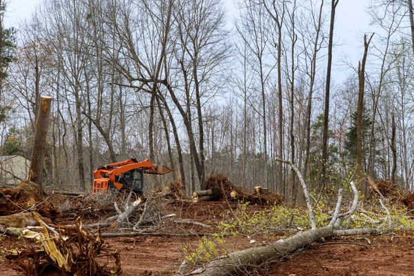 Escavadeira Arrancando Árvores Terra Bulldozer Limpar Terra Árvores Raízes Galhos — Fotografia de Stock