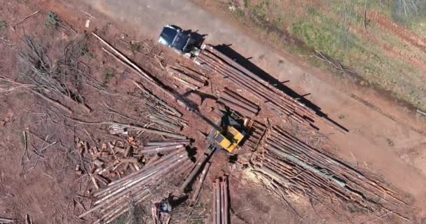 Aerial Top View Crane Operator Loading Logs Timber Truck — Vídeos de Stock