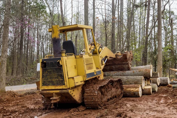 Árboles Recién Cortados Para Obras Residenciales Bosque Limpieza Retroexcavadoras Claro —  Fotos de Stock