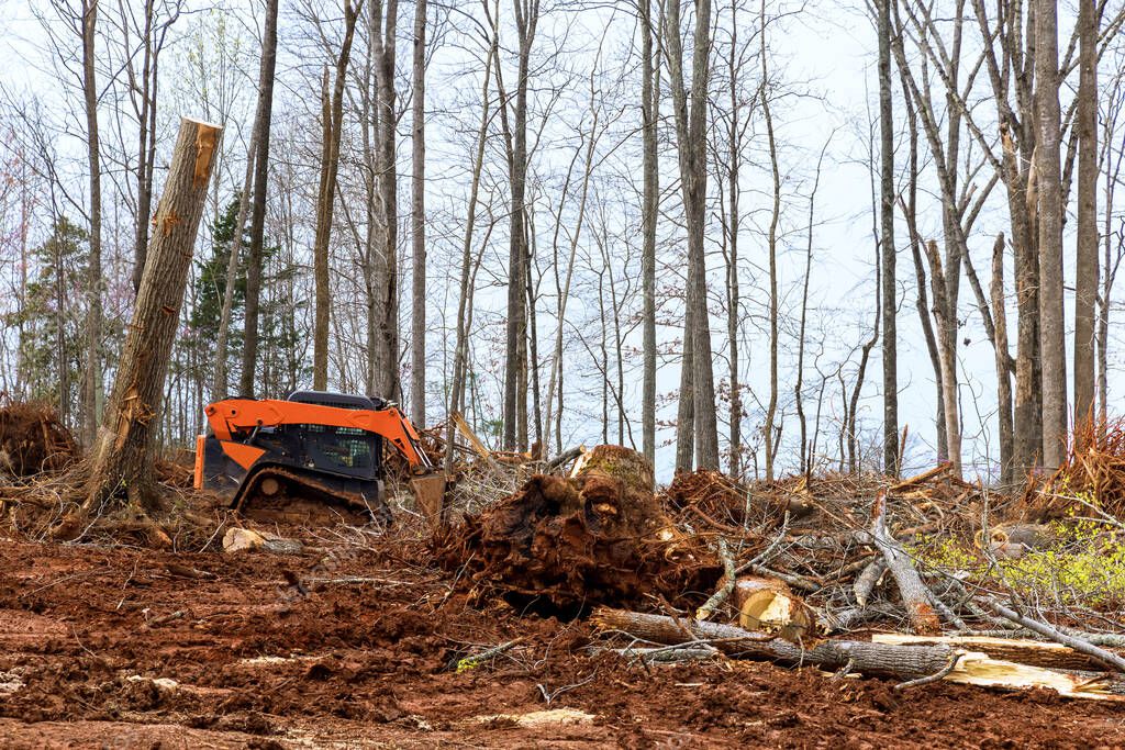 Excavator clearing forest for new development with roots of cut down trees on land cleared