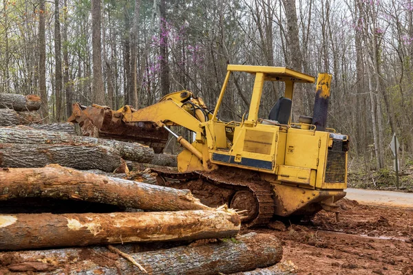 Retroexcavadora Para Trabajos Forestales Durante Tala Bosques Para Obras Nueva —  Fotos de Stock