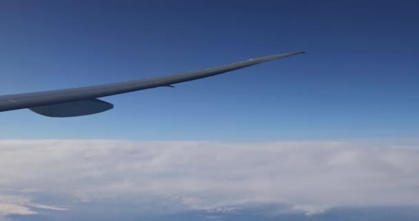 Bir Uçağın Kanadı Bulutların Üzerinde Uçuyor — Stok video