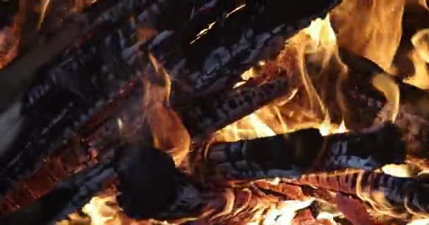 Closeup View Burning Wood Fireplace Home — Stockvideo
