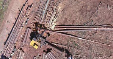 Yükleyicilerin hava görüntüsü yeni gelişmeler için ormansızlaştırma ormanını temizlerken, yükleyicilerin yükleme kütüklerini yakalıyor.