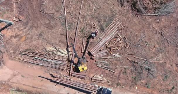 Αεροφωτογραφία Του Υδραυλικού Χειρισμού Των Ελκυστήρων Που Φορτώνει Κορμούς Δέντρων — Αρχείο Βίντεο