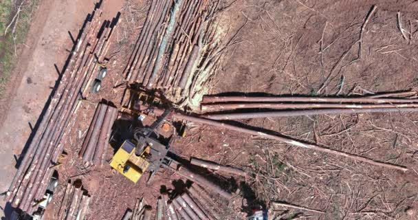 Vista Aérea Cargador Carga Troncos Garra Durante Limpieza Tierra Bosque — Vídeo de stock