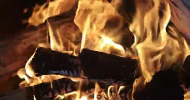 Crest Flame Burning Wooden Log Fireplace Indoors — Stock Video