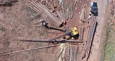 Hidrolik manipülatör forklift, taşınan seyir defterindeki yükleyici kaydını alır ve havadan görüntüler.