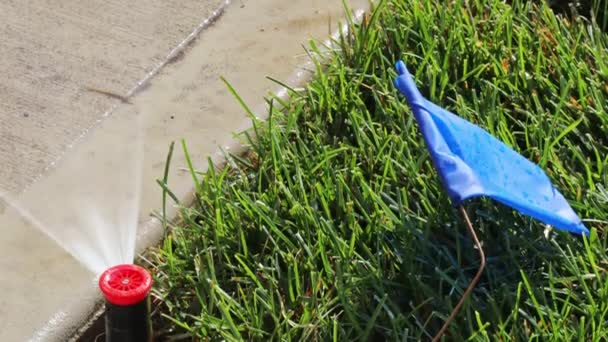 Bewässerungssystem Garten Sprinkler Der Automatischen Bewässerung Spray Rasen — Stockvideo