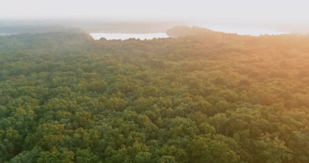 Лісове Озеро Сході Сонця Рано Вранці Туман Повітряний Панорамний Вид — стокове відео