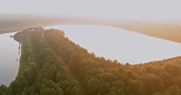 黎明时分 在雾蒙蒙的早晨 从空中俯瞰森林湖景 — 图库视频影像