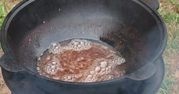 Prato Cozinha Asas Frango Óleo Frita Caldeirão Ferro Fundido — Vídeo de Stock