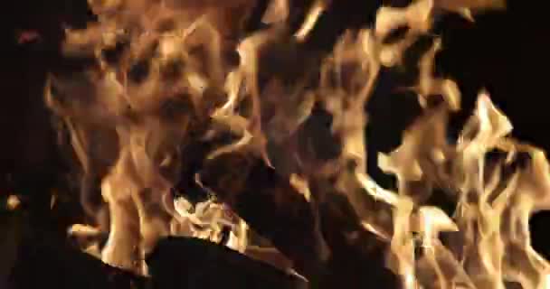 Fireplace Burning Pieces Wood Log Fire — Stock Video